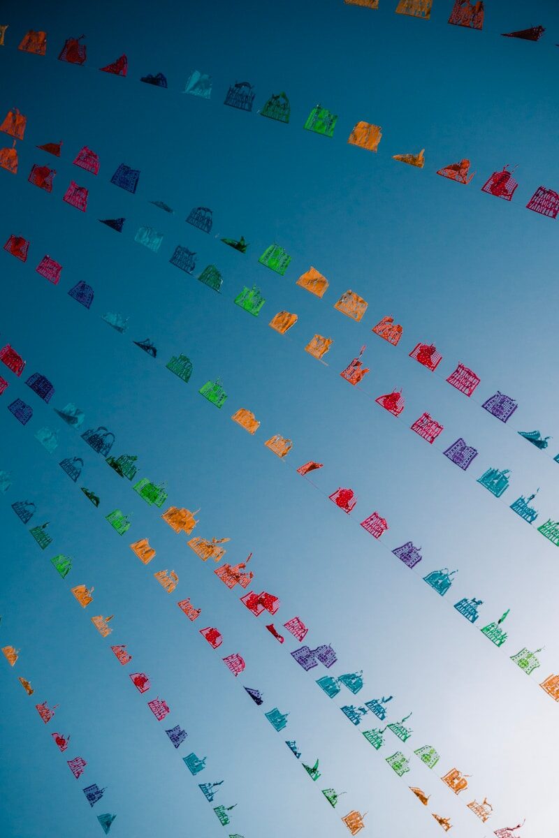 Digital Identity Lifecycle Management